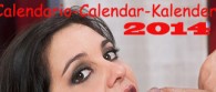 kalender Januar-Februar 2014